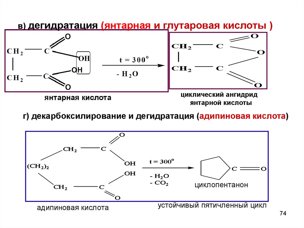 Щавелевый ангидрид. Производные янтарной кислоты. Декарбоксилирование янтарной кислоты реакция. Нагревание глутаровой кислоты реакция. Глутаровая кислота.