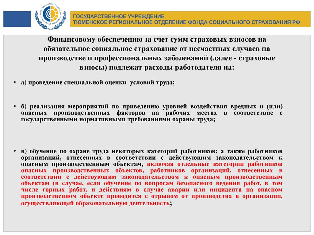 Образец отчета об использовании сумм страховых взносов на обязательное социальное страхование