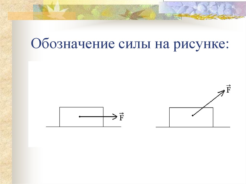 На чертеже силу изображают в виде отрезка