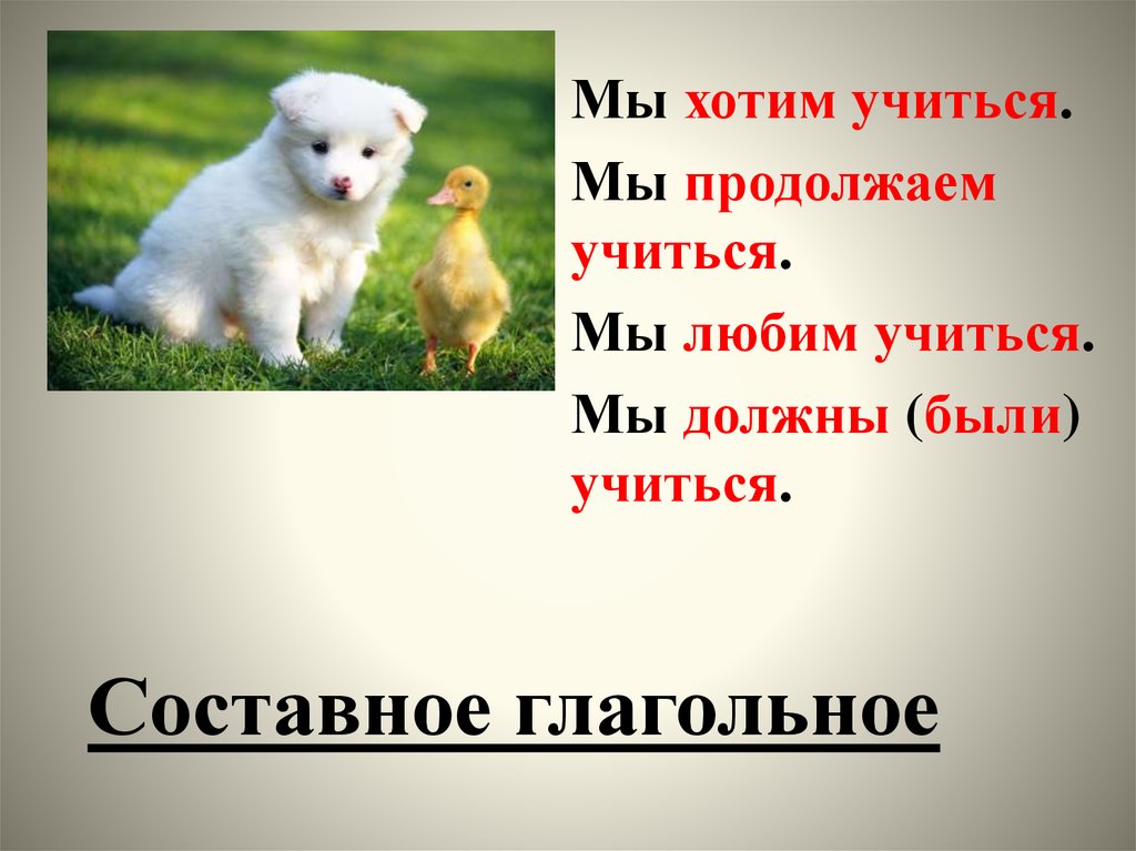 Продолжай учиться. Продолжаем учиться. Продолжаю я учиться. Продолжайте учиться узнайте больше о.