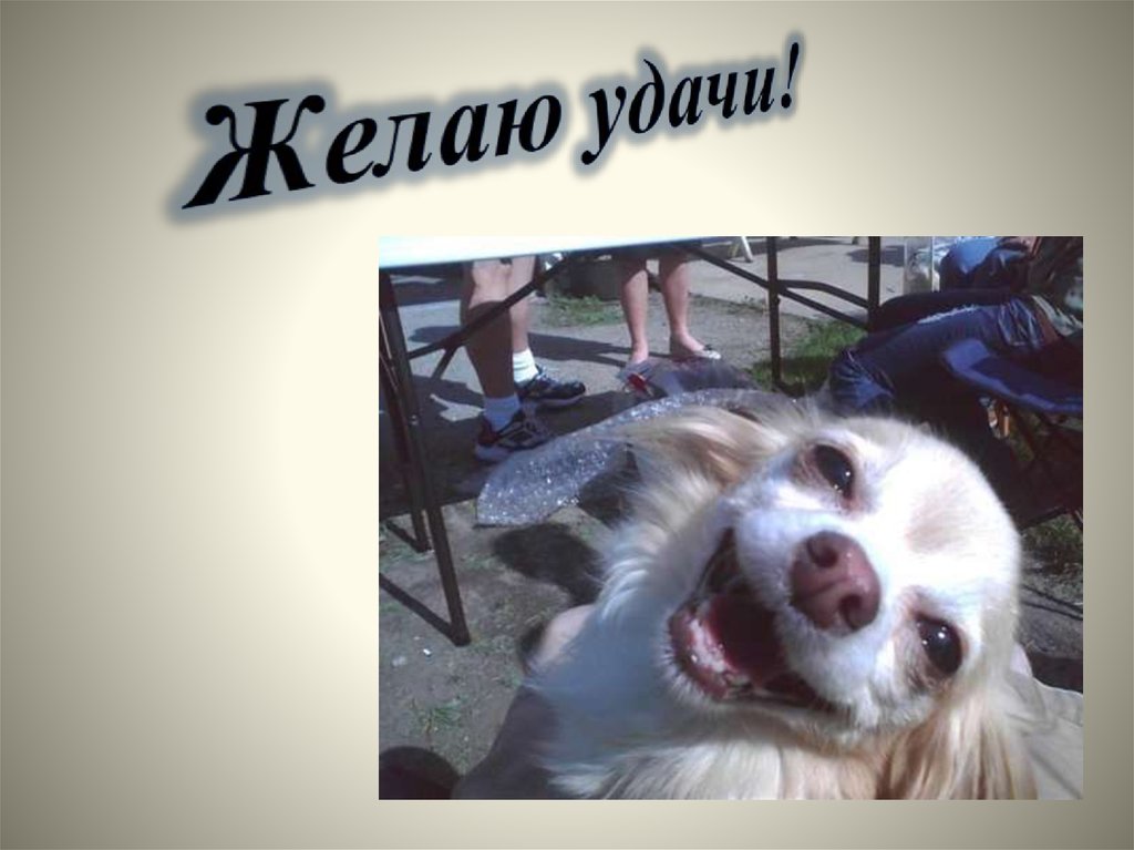 Желаю удачи!