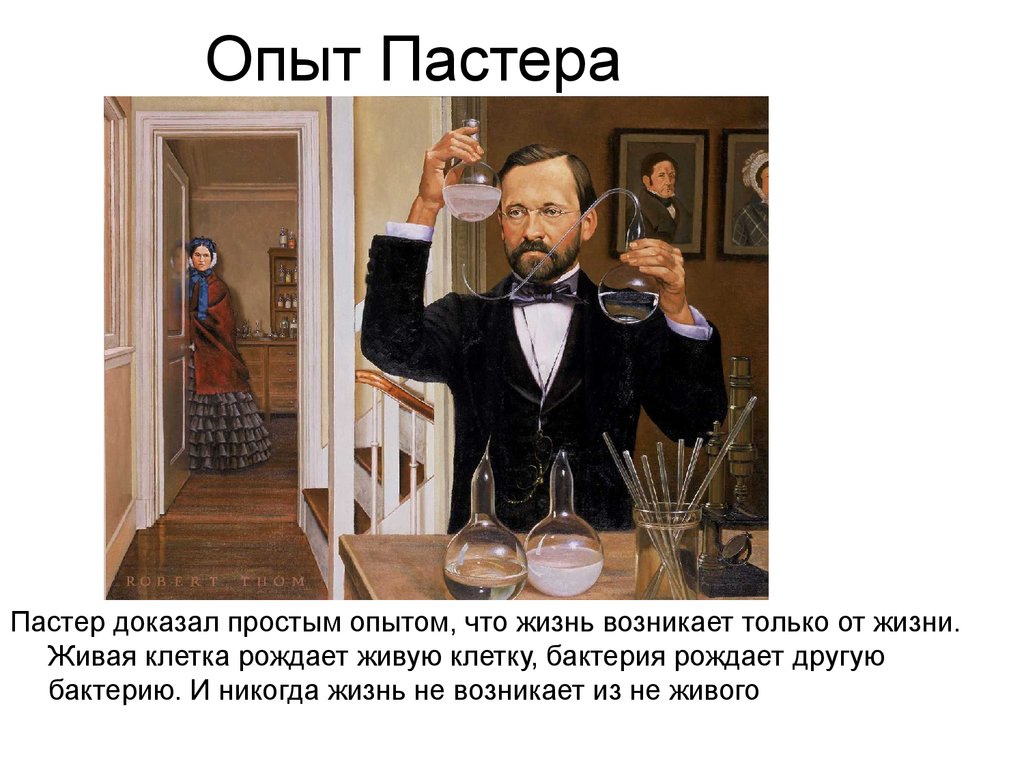 На рисунке показан опыт луи пастера какую теорию опроверг ученый этим опытом