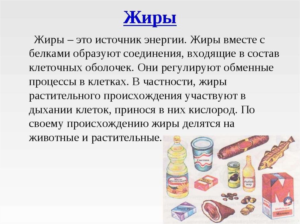 Жиры презентация 6 класс