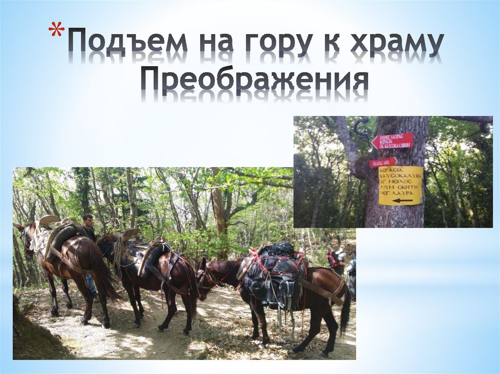 Подъем на гору к храму Преображения