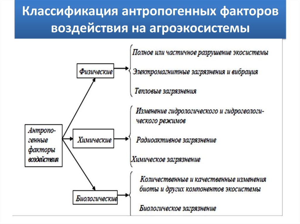 Составляющие фактора. Факторы антропогенного воздействия на окружающую среду. Классификация антропогенных факторов. Классификация антропогенных воздействий. Классификация антропических факторов.