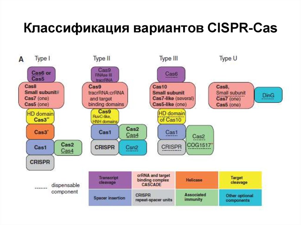 Классификация вариантов. Классификация CAS(Chemical abstracts service). КАС классификация. Схема cas2.