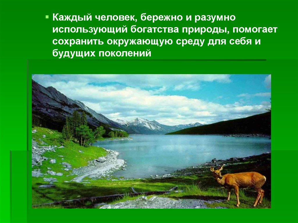 Используя богатства природы человек активно внедряется. Богатства природы. Богатства людям природой. Природа природные богатства. Охрана окружающей среды Татарстана.