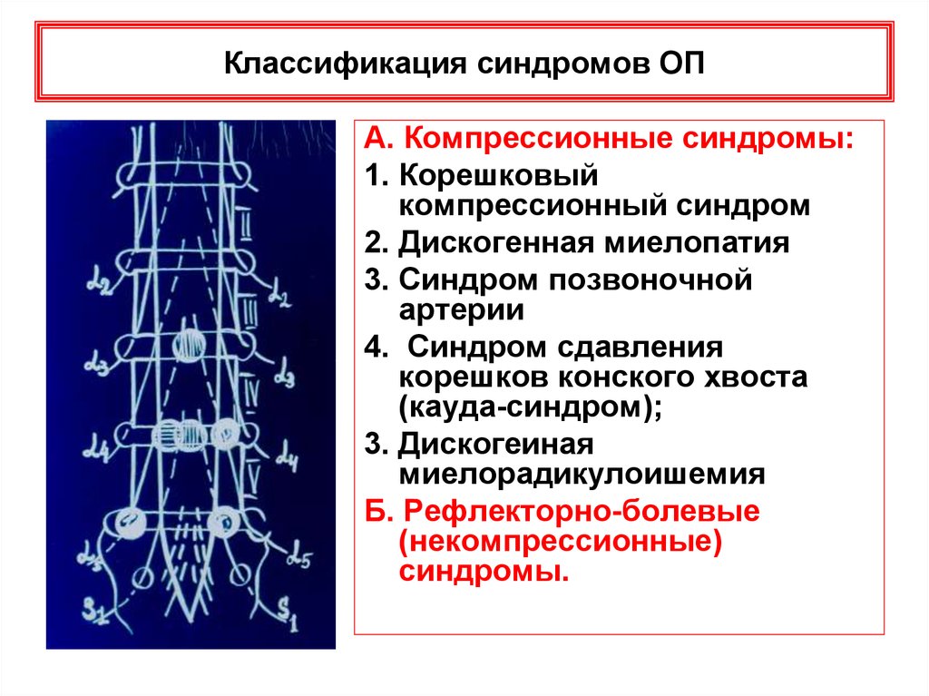 Дегенеративные заболевания позвоночника тесты