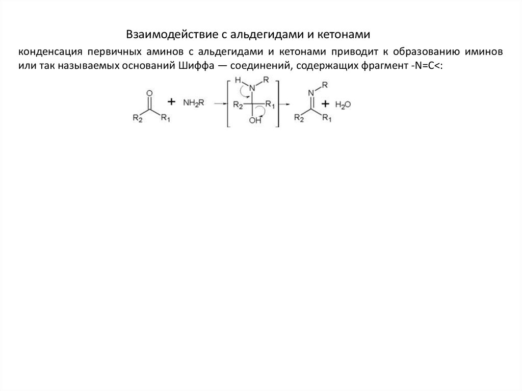 Получение аминов презентация