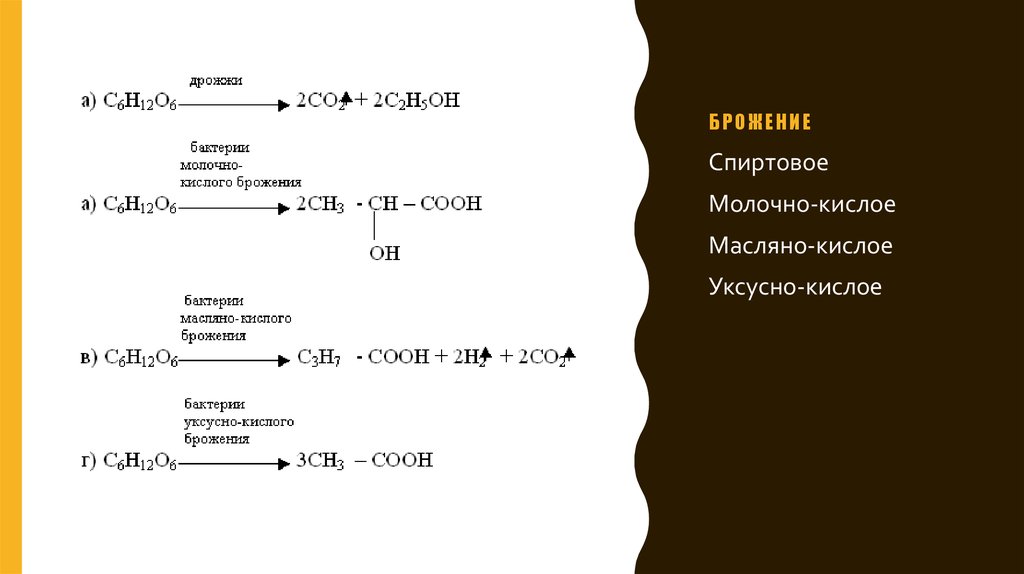 Уксуснокислое брожение презентация
