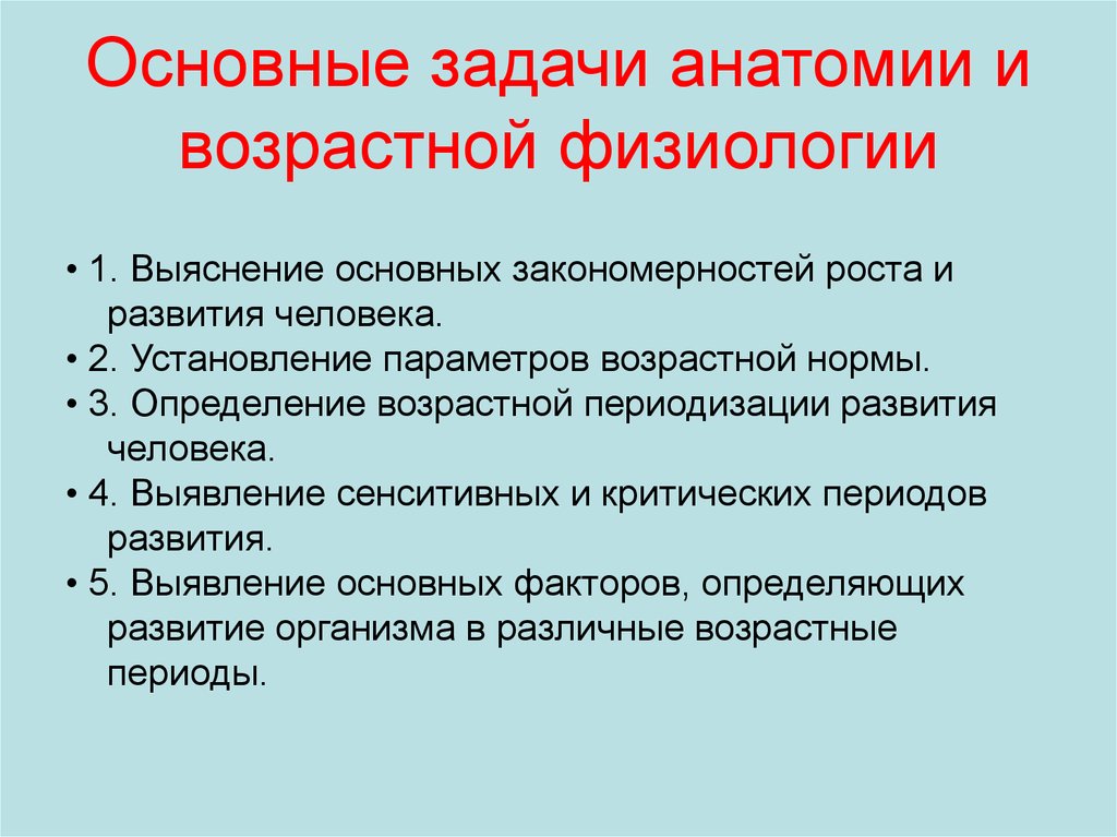 Возрастные особенности анатомии