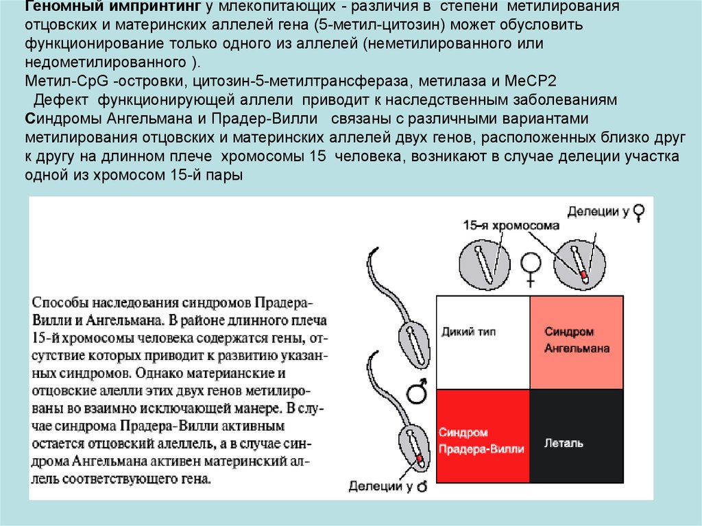 Болезни импринтинга