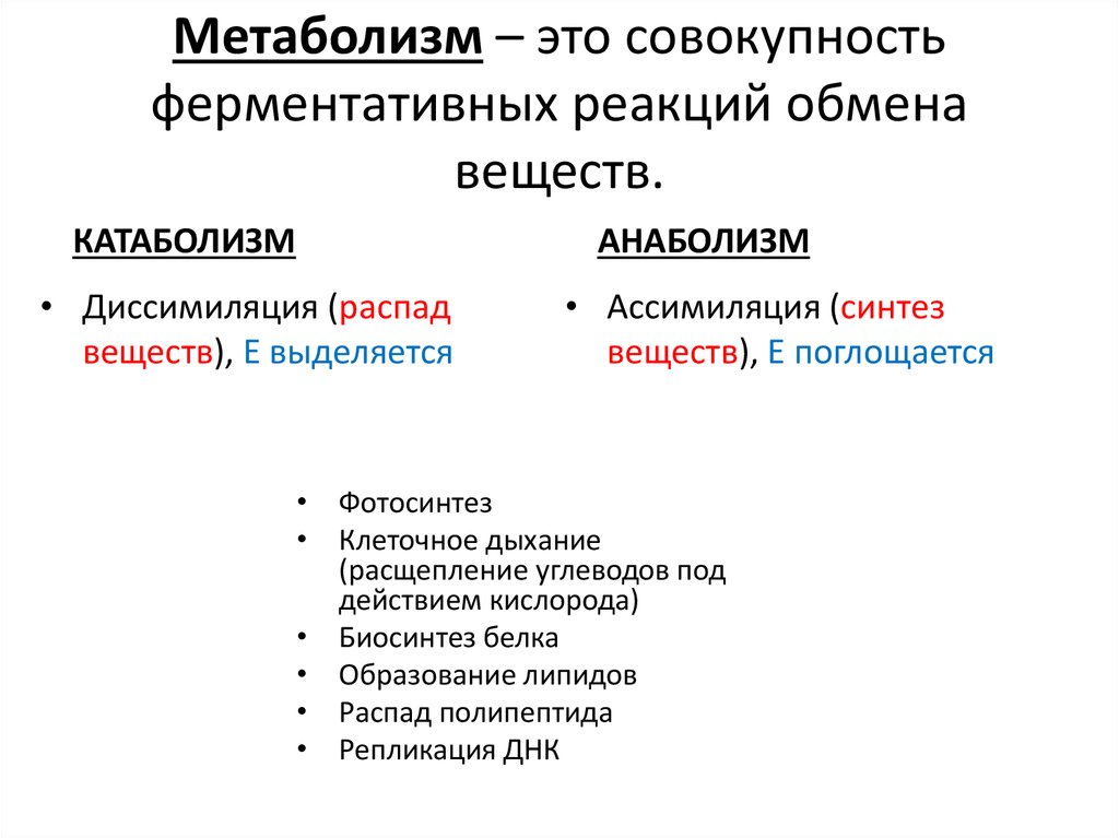 Обмен веществ и энергии анаболизм катаболизм