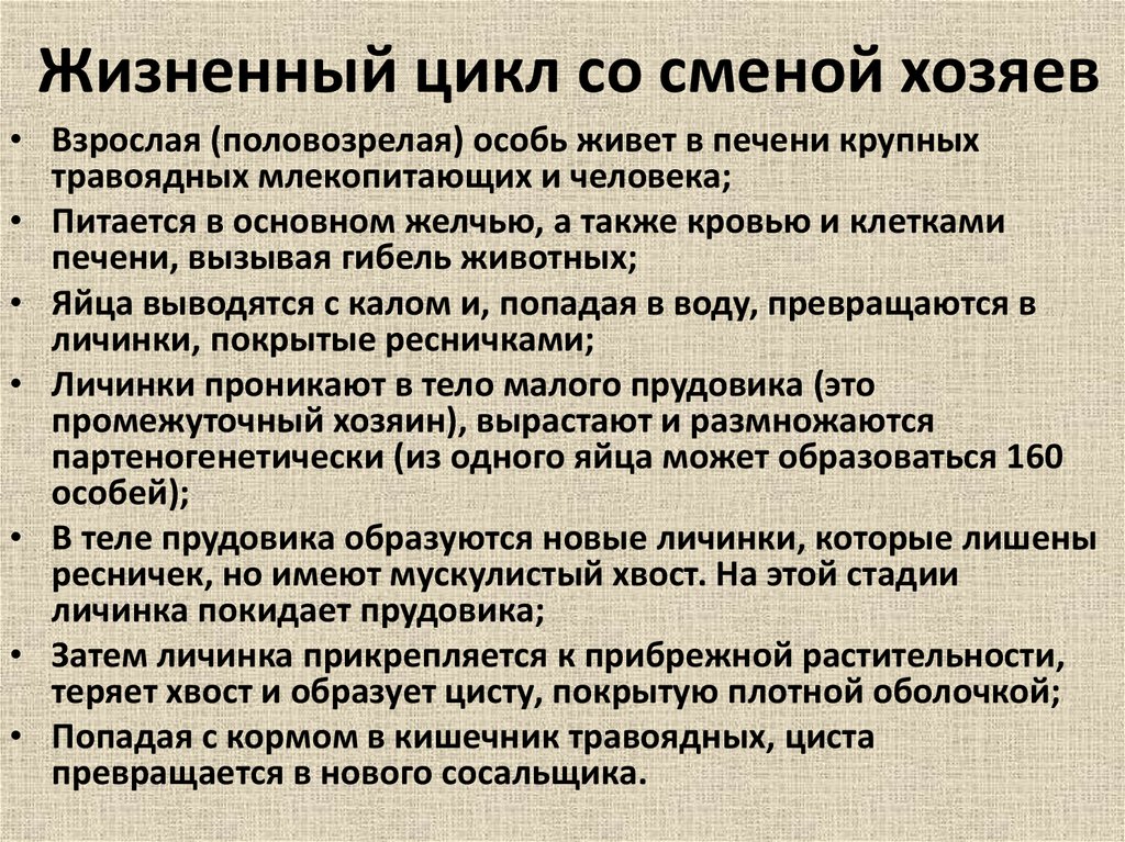 Со сменой хозяина происходит. Жизненный цикл без смены хозяев. Жизненный цикл со сменой хозяев. Смена хозяев обязательна в жизненном цикле у. Цикл развития осуществляется без смены хозяев.