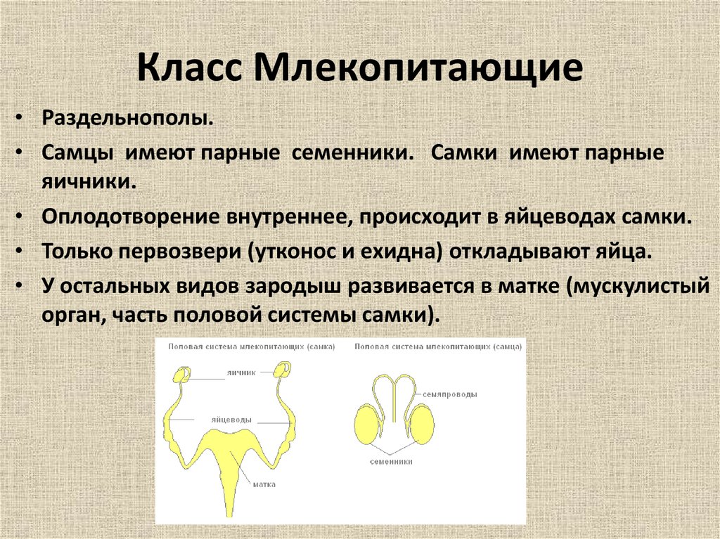 О сохранении и размножении народа