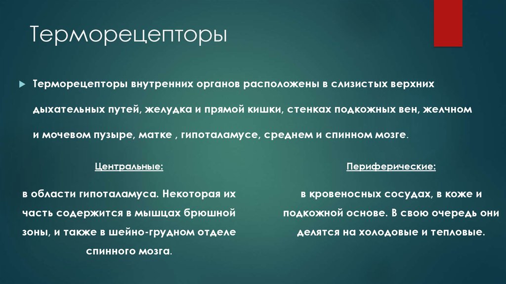 терморегуляционная функция кожи.