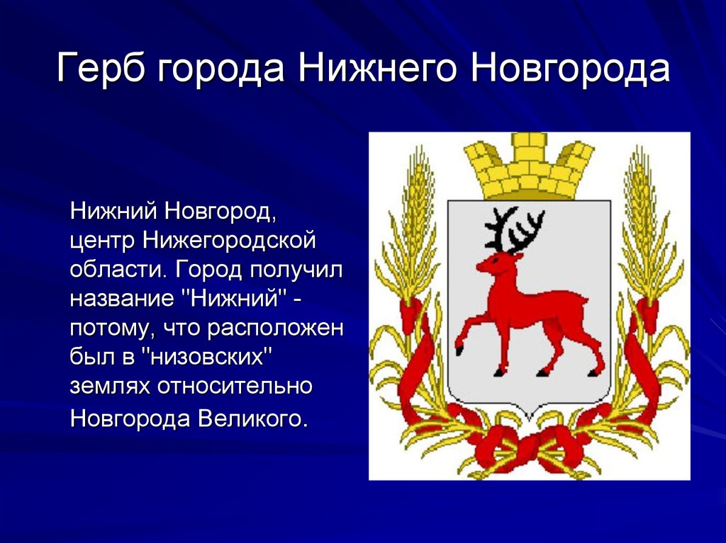 Руководство отрядом повстанцев в южных землях нижегородского края