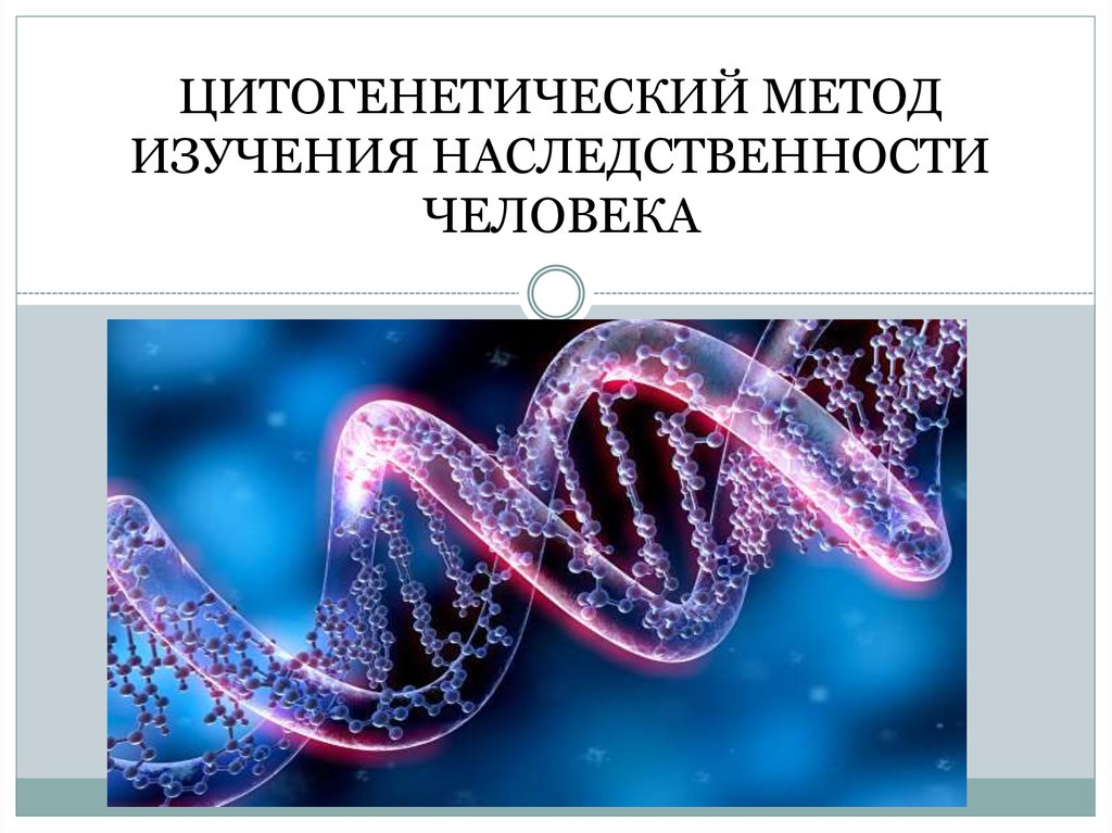 6 генетика человека