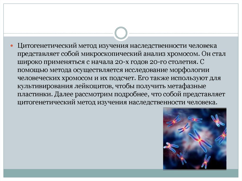 Исследование наследственности. Цитогенетический метод исследования наследственности человека. Цитогенетические методы изучения наследственности человека.. Цитогенетический метод изучения наследственности. Цитогенетический метод изучения человека.