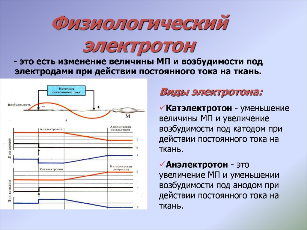 Электротон. Изменение возбудимости при действии постоянного тока. Физиологический электротон. Распространение электротона физиология. Закон физиологического электротона.