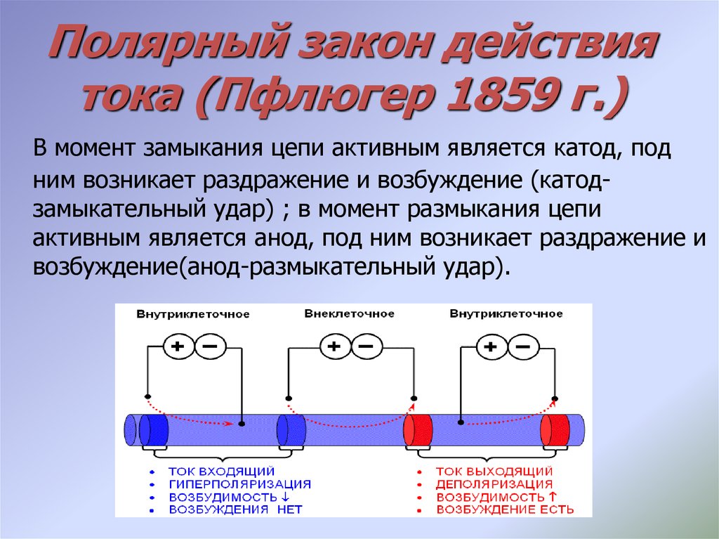 Полярный закон действия тока (Пфлюгер 1859 г.)