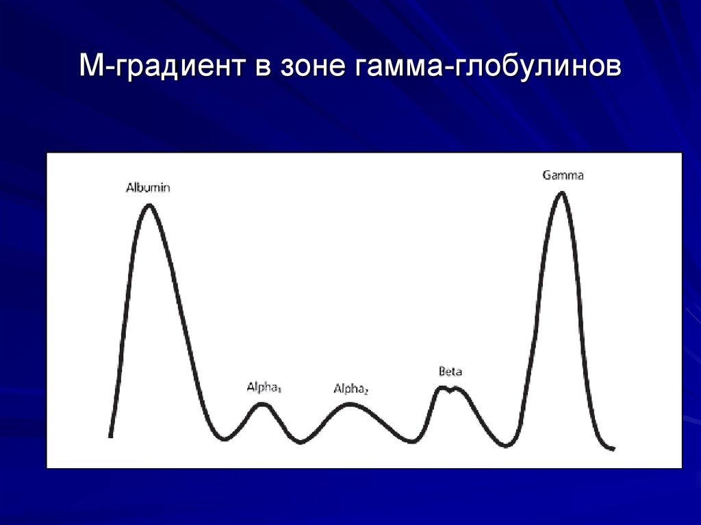 М градиент в зоне гамма глобулинов. М-градиент в крови. М-градиент в крови норма. М градиент в гамма фракции что это.