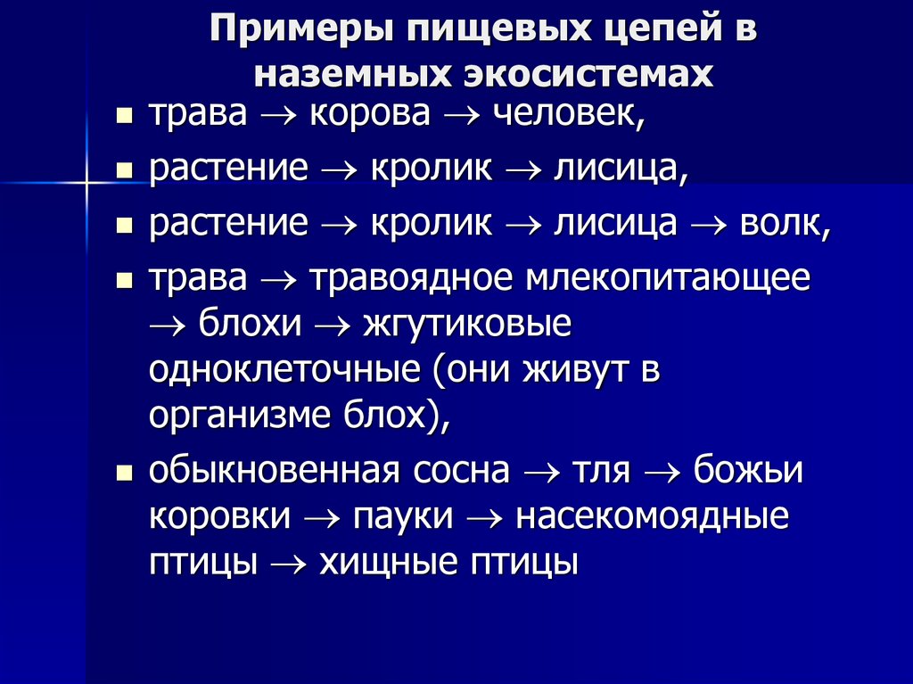 Пищевая цепочка примеры