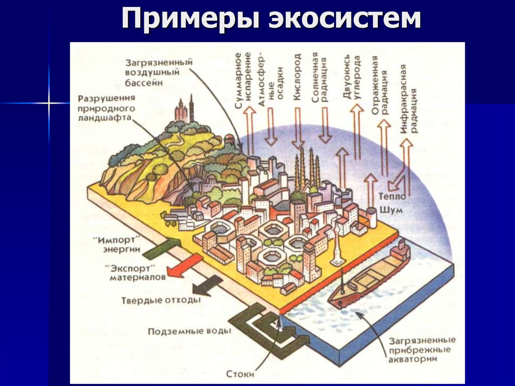 Техногенные экосистемы презентация