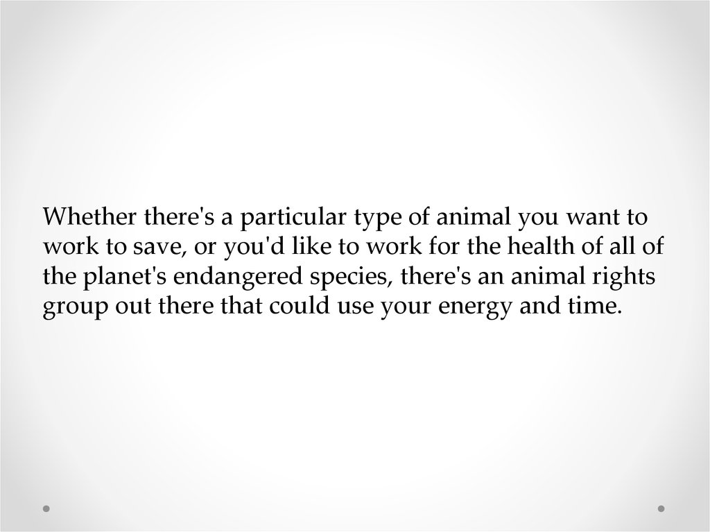 Whether there's a particular type of animal you want to work to save, or you'd like to work for the health of all of the