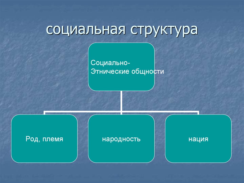 Этнос социальная. Социально этические общности.