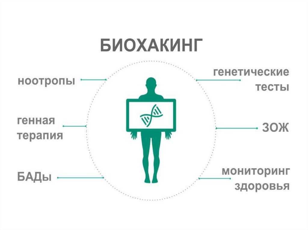 Первая школа биохакинга схемы