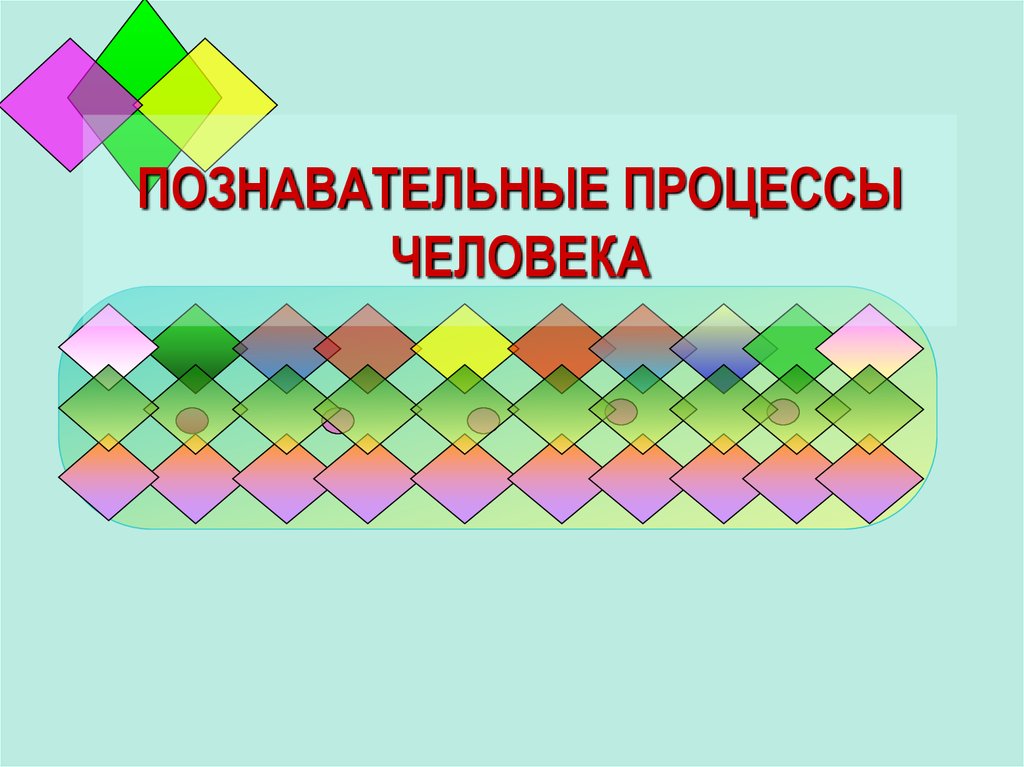 Познавательные процессы презентация