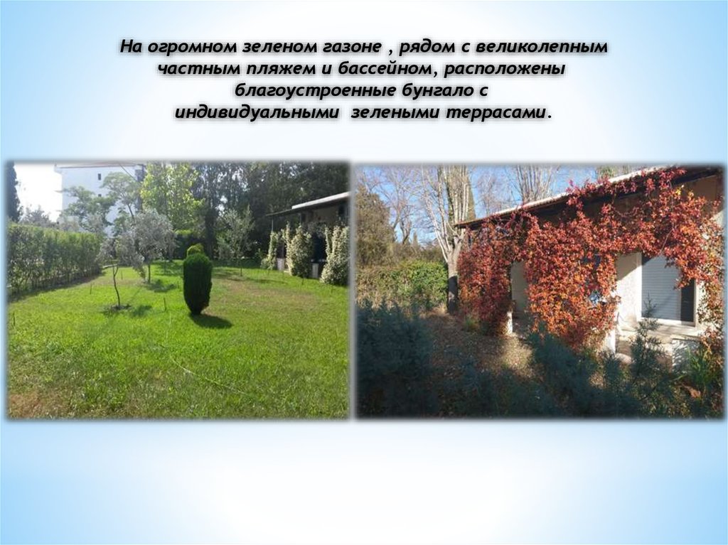 Διαφάνεια 5