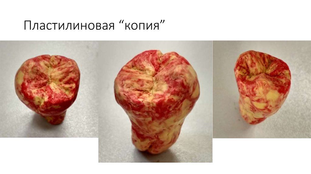 Пластилиновая “копия”