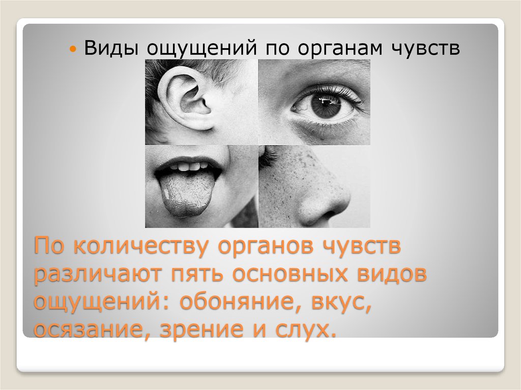 Ощущение число. Виды ощущений по органам чувств. Пять основных чувств. Пять видов чувств. 5 Основных видов чувств.