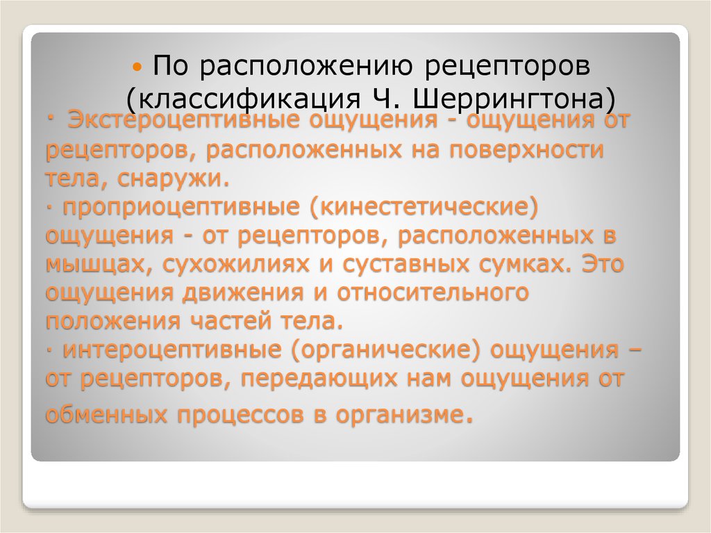 Ощущение рецепторы. К экстероцептивным ощущениям относятся. Интероцептивные проприоцептивные и экстероцептивные ощущения. Кэкстероцептивнымощущениямотносятся. Примеры экстероцептивных ощущений.