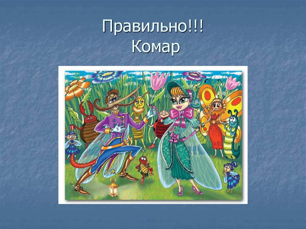 Правильно!!! Комар