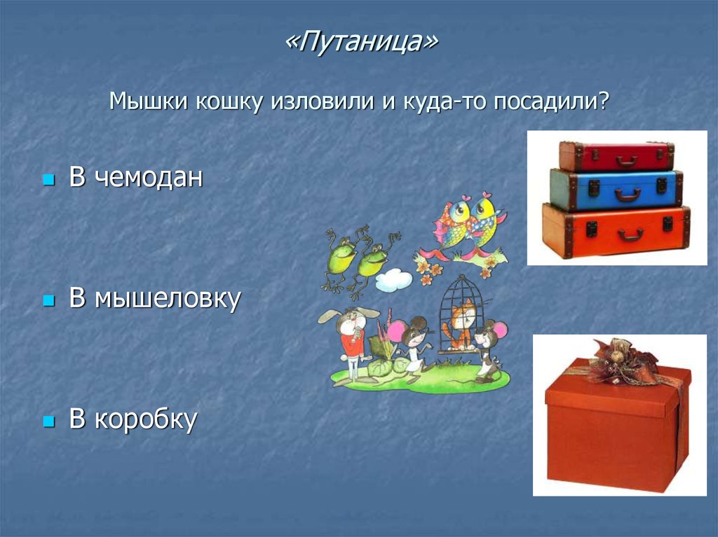 «Путаница» Мышки кошку изловили и куда-то посадили?