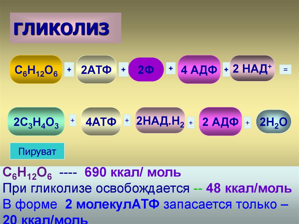 Гликолиз 6 атф. Гликолиз. Гликолиз бескислородный этап. 2 АТФ И 2 над.н. Гликолиз как из АДФ В АТФ.