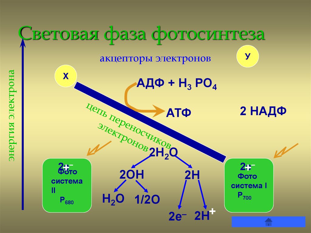 Образование веществ