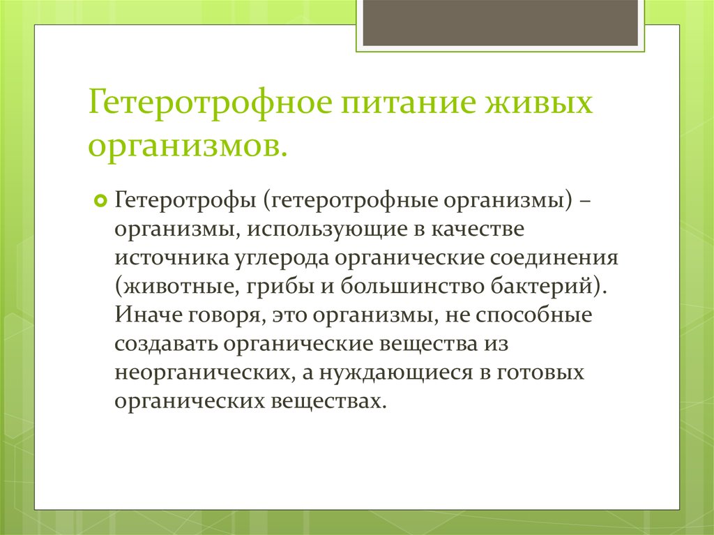 Гетеротрофное питание 6