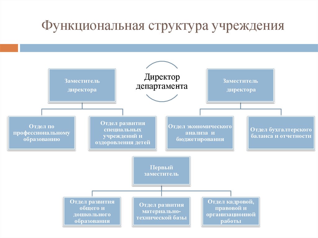 Функциональная структура организации. Функциональные органы учреждения