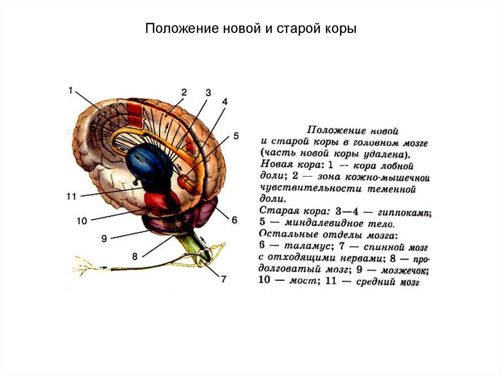 Нова позиция