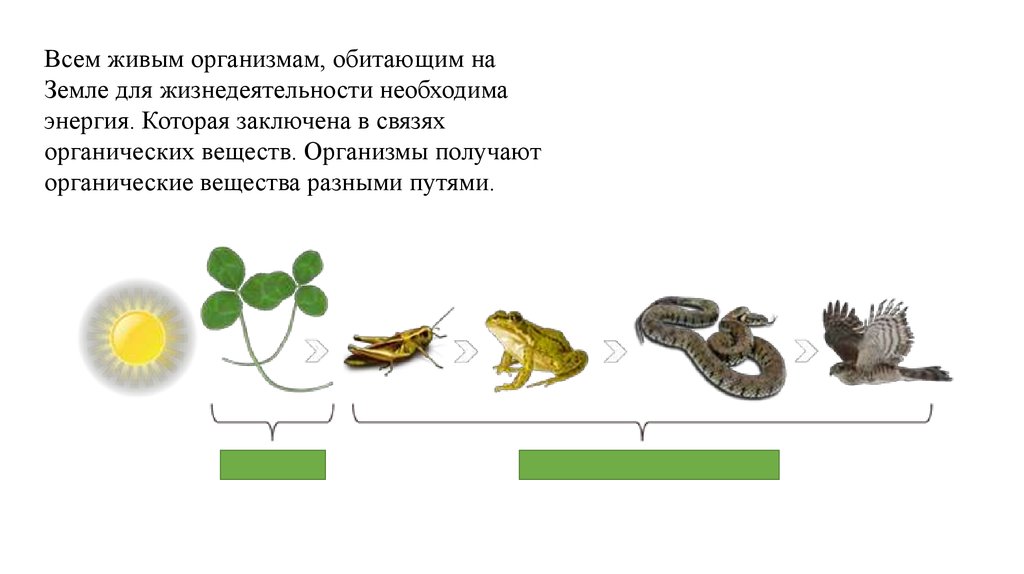 Органическое вещество вырабатываемое живой. Как вещества необходимы для живых организмов. Вещества из живых организмов обитающие в саду. Органические вещества в жизни живого организма. Живые организмы которым для жизнедеятельности необходим хозяин это.