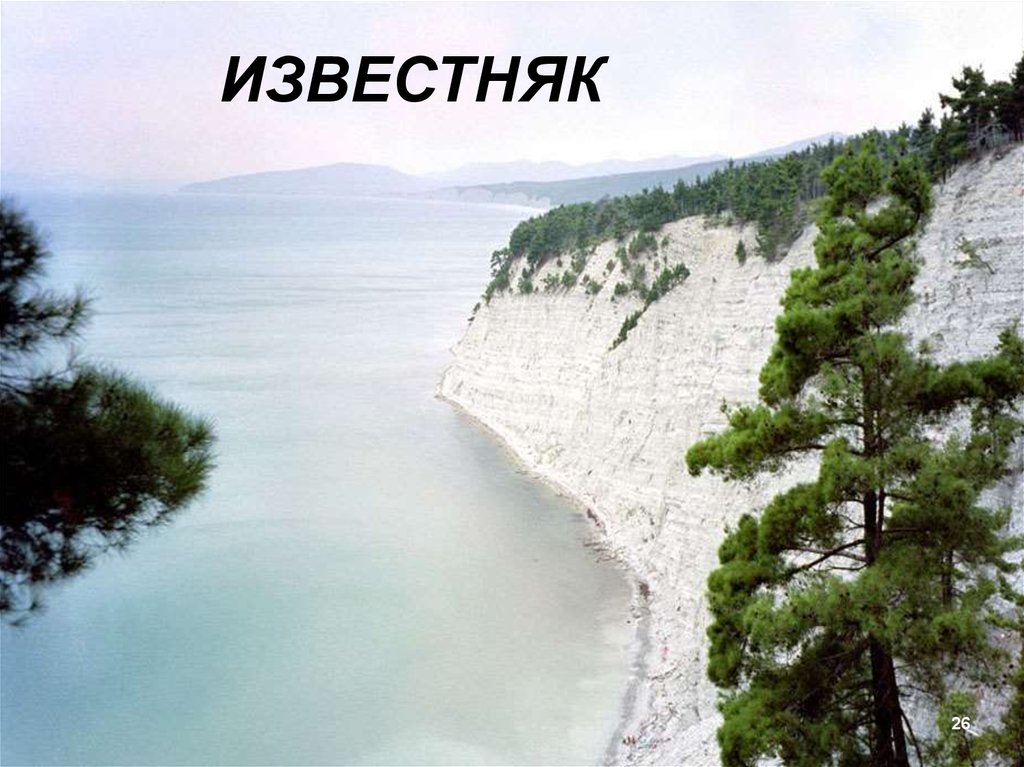 Известняк. Разновидности известняка. Области применения - презентация ...