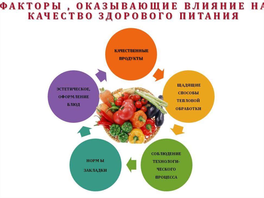 Влияние продуктов. Факторы здорового питания. Факторы правильного питания. Факторы рационального питания. Рациональное питание факторы влияющие.