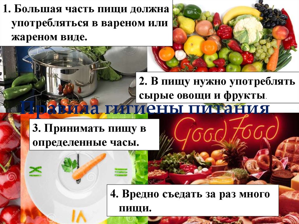 Правила гигиены питания