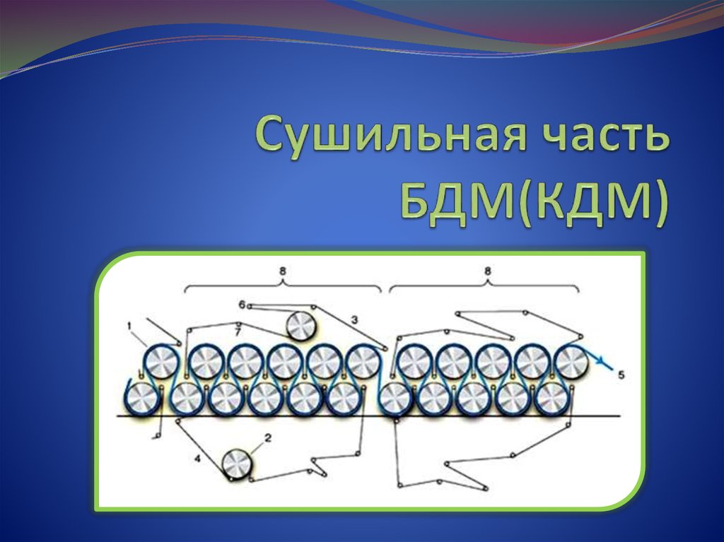 Сушильная часть бумагоделательной машины