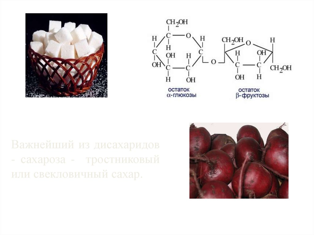 Фруктоза это углевод. Сахароза фруктоза мальтоза. Свекловичный сахар дисахарид. Тростниковый сахар это дисахарид. Остаток фруктозы.