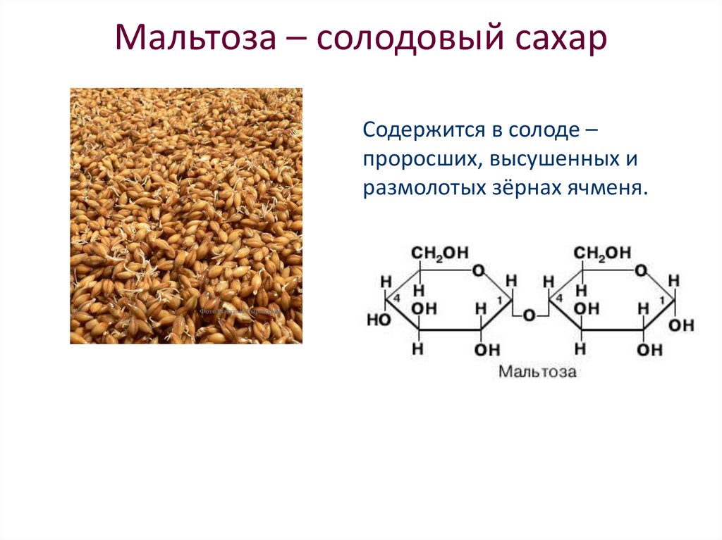 Сахарный тростник формула